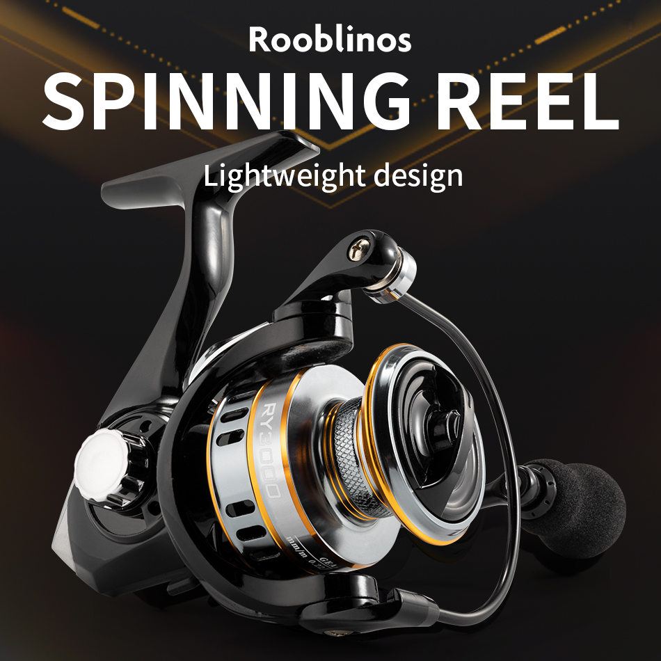 ROOBLINOS RY-Moulinet de pêche - Daiwa Reel Bg avis et prix